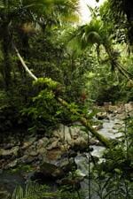 puerto-rico_4