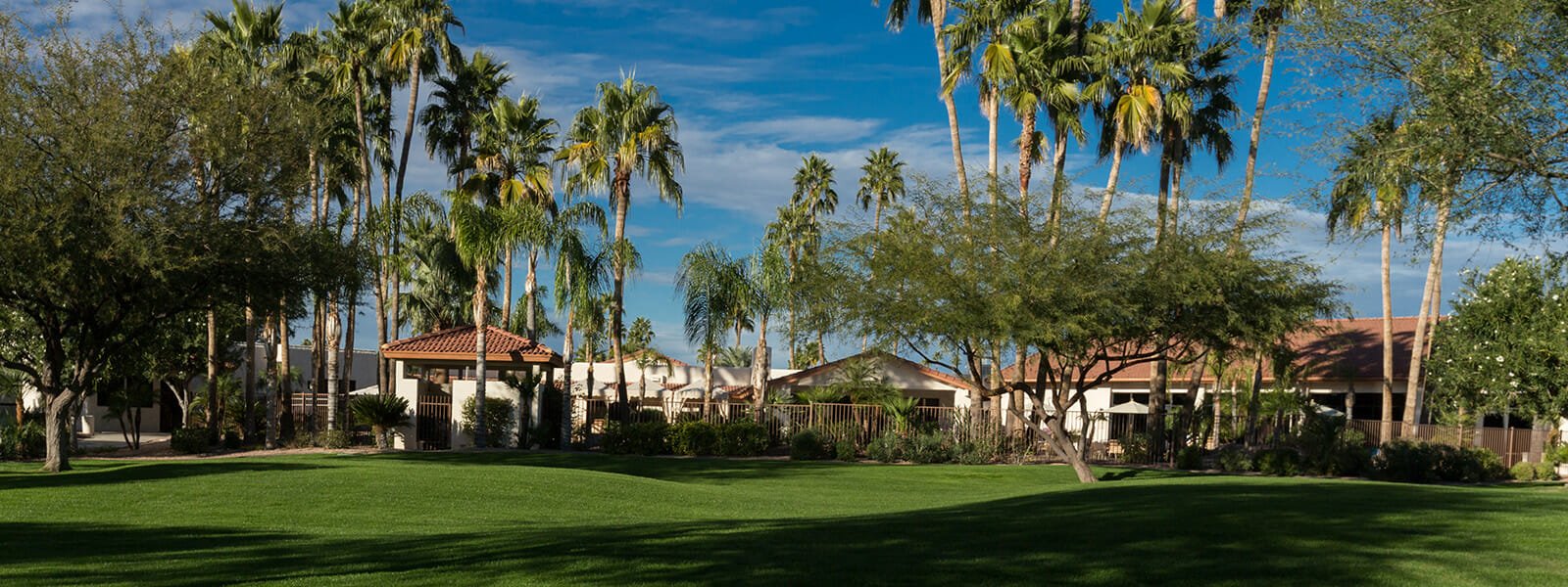Palmas Del Sol Active 55+ Community in Mesa AZ