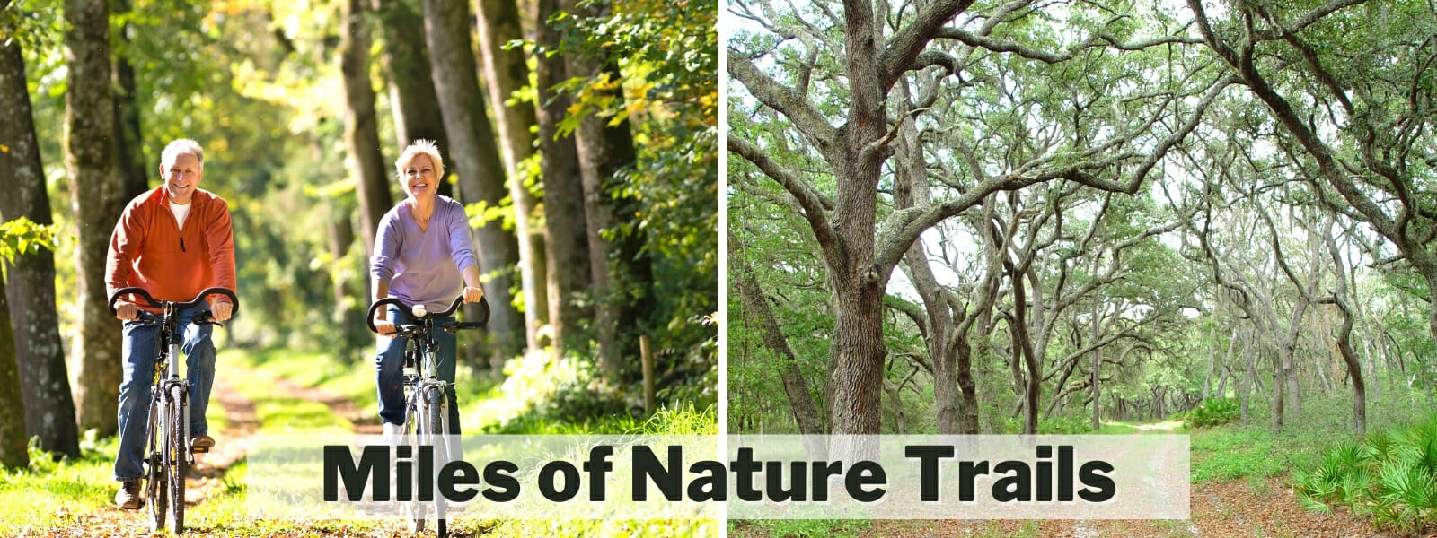 Villages of Citrus Hills Florida Gated Communities Florida Real Estate